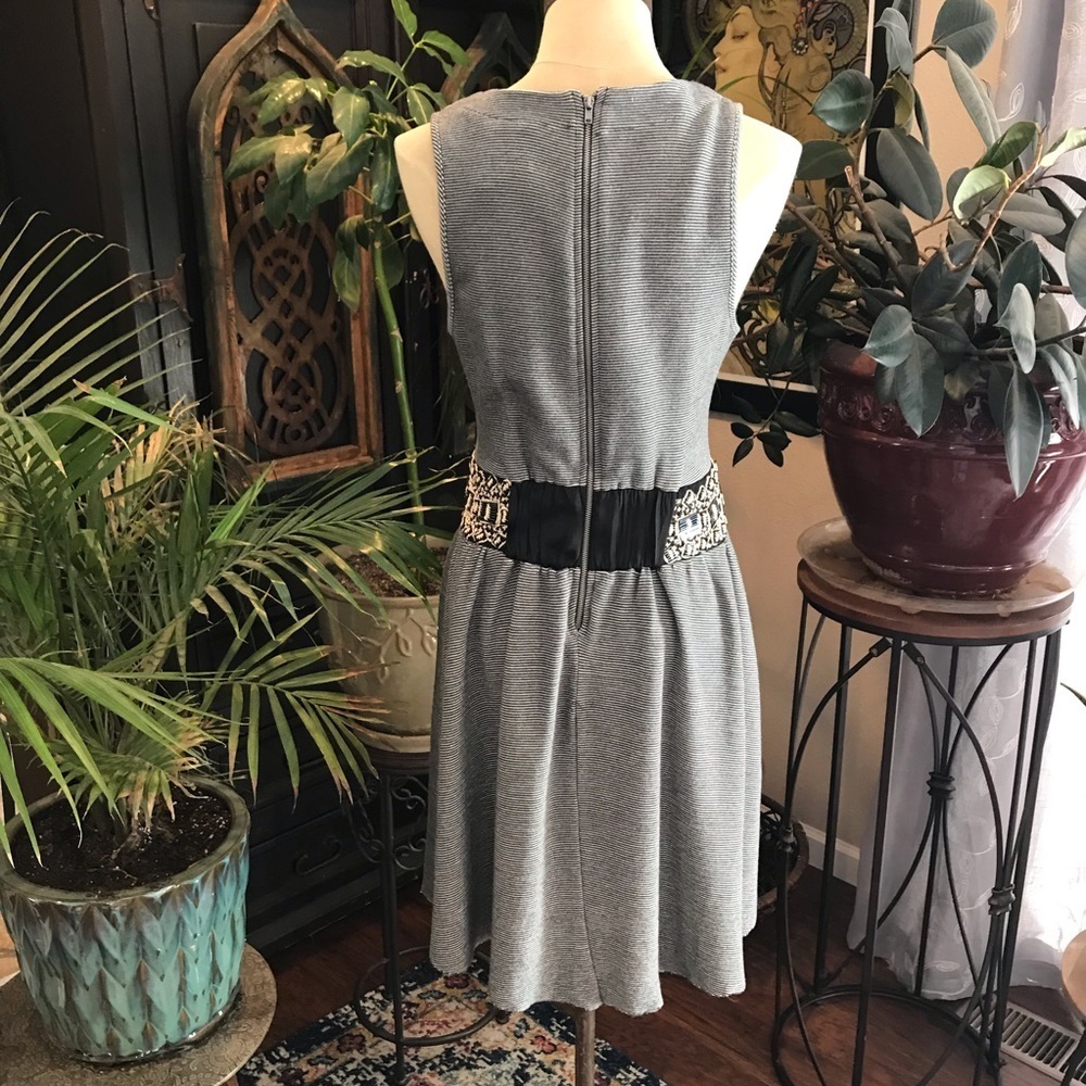 Anthropologie beaded embroidered stripe tank dress - Picture 4 of 7
